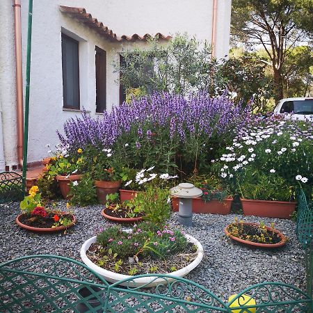 Villa Manuela Pula Extérieur photo