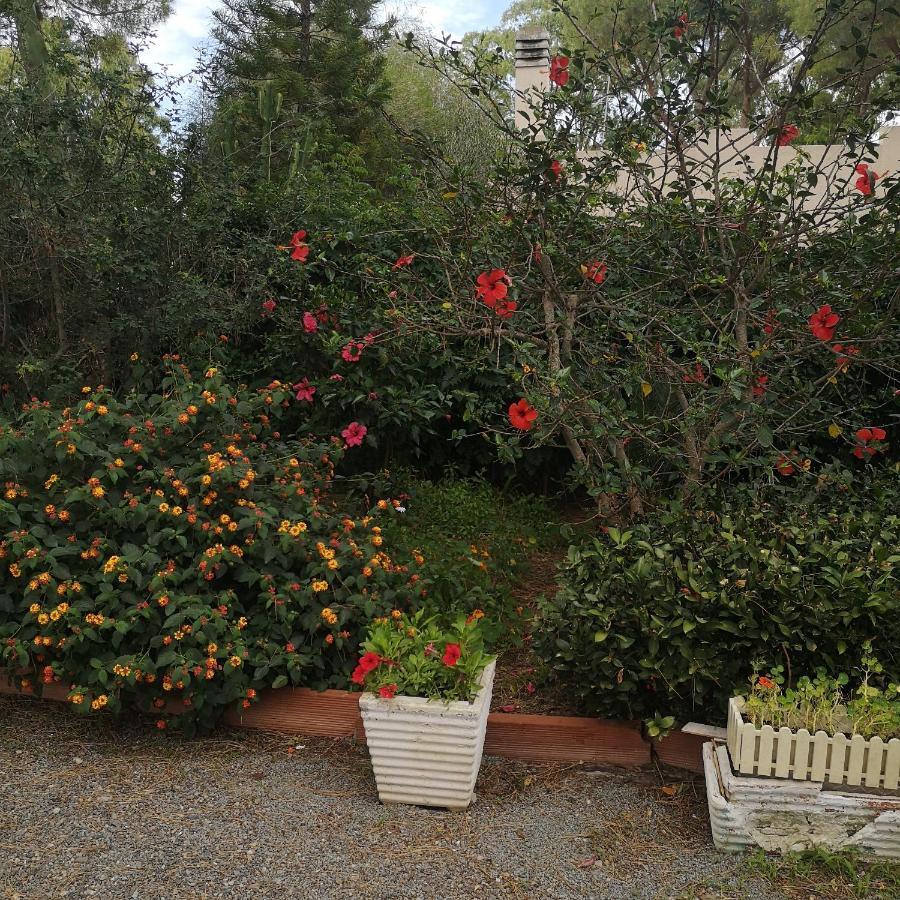 Villa Manuela Pula Extérieur photo
